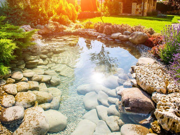 DNB Spokane Landscape Design and Lighting Image